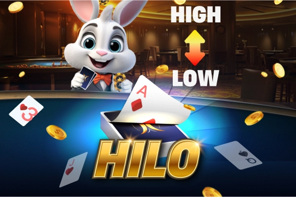 08462 hilo